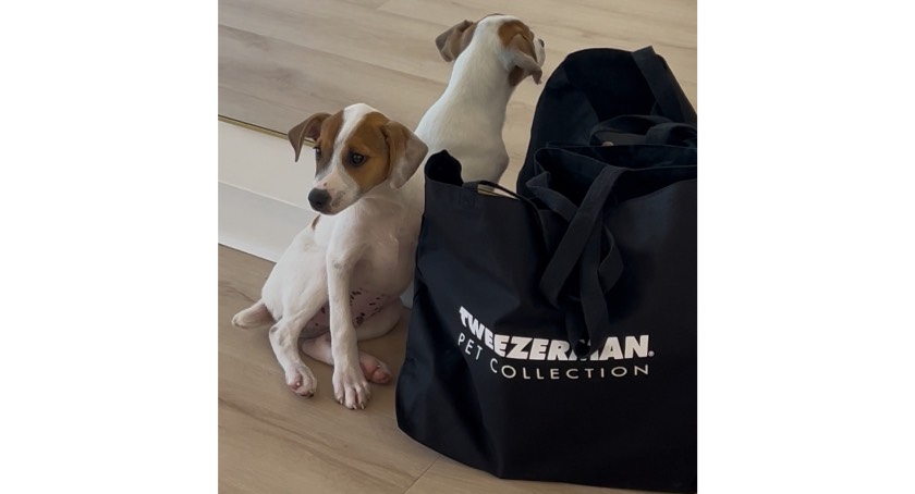 Tweezerman Struts New Pet Grooming Collection in NYC
